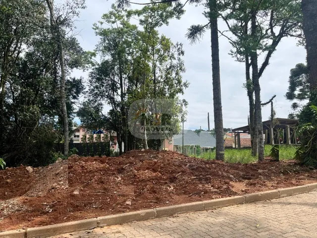 Imagem: TERRENO RESIDENCIAL em NOVA PETRÓPOLIS