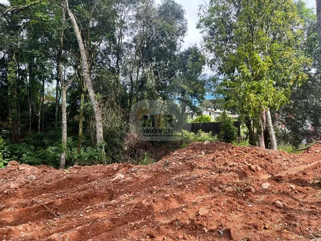Imagem 4: TERRENO RESIDENCIAL em NOVA PETRÓPOLIS - RS, Bavaria