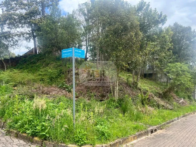 Imagem: TERRENO RESIDENCIAL em NOVA PETRÓPOLIS