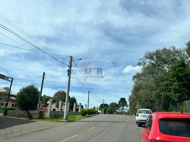 Imagem 3: PAVILHÃO COMERCIAL em NOVA PETRÓPOLIS - RS, Piá