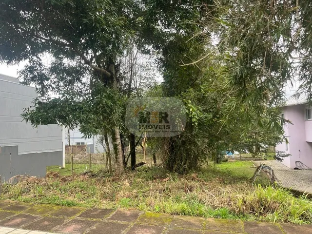 Imagem: TERRENO RESIDENCIAL em NOVA PETRÓPOLIS