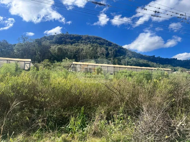 Imagem 2: TERRENO RESIDENCIAL em NOVA PETRÓPOLIS - RS, Pinhal Alto
