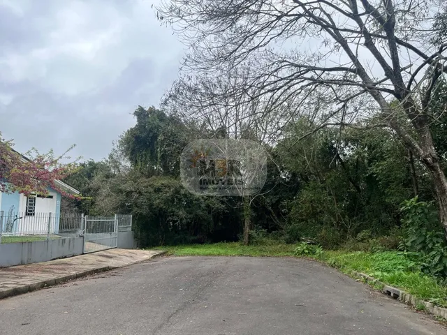 Imagem 3: CASA RESIDENCIAL em NOVA PETRÓPOLIS - RS, Pousada da Neve
