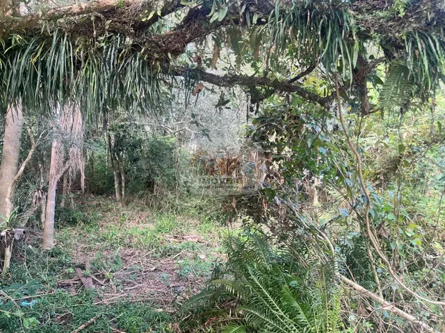 Imagem 4: TERRENO RESIDENCIAL em NOVA PETRÓPOLIS - RS, Pousada da Neve