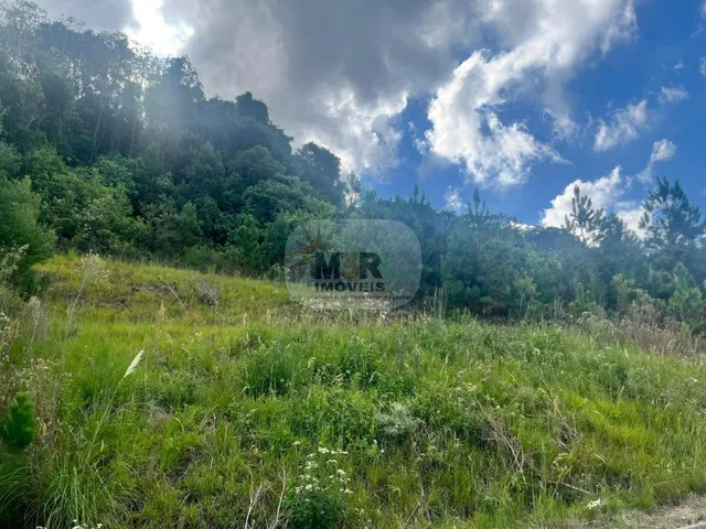 Imagem: TERRENO RESIDENCIAL em NOVA PETRÓPOLIS