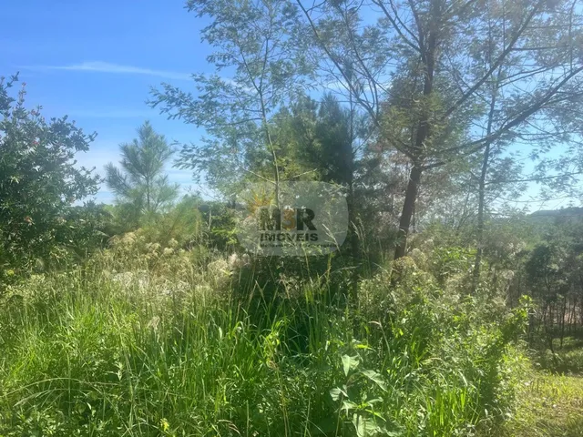 Imagem: TERRENO RESIDENCIAL em NOVA PETRÓPOLIS
