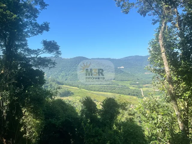 Imagem 13: Sítio Rural à Venda e Locação em Nova Petrópolis 2 Hectares Vista Panorâmica Linha
