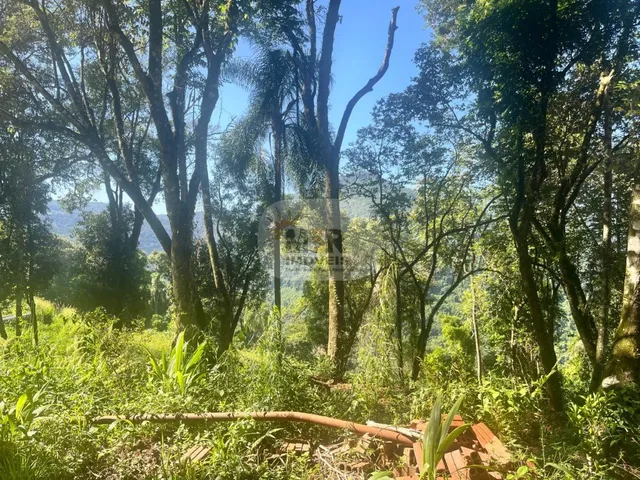 Imagem 16: Sítio Rural à Venda e Locação em Nova Petrópolis 2 Hectares Vista Panorâmica Linha