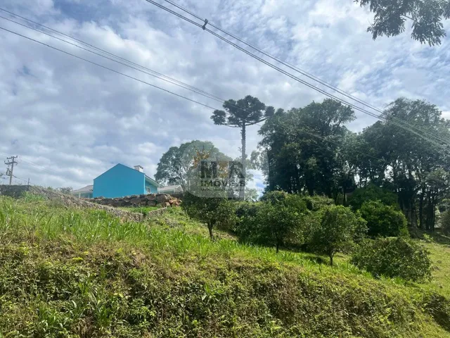 Imagem: TERRENO RESIDENCIAL em NOVA PETRÓPOLIS
