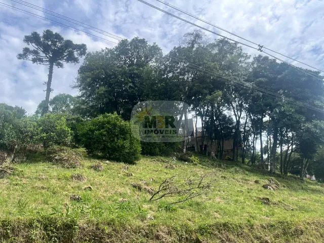 Imagem 7: TERRENO RESIDENCIAL em NOVA PETRÓPOLIS - RS, Pinhal Alto