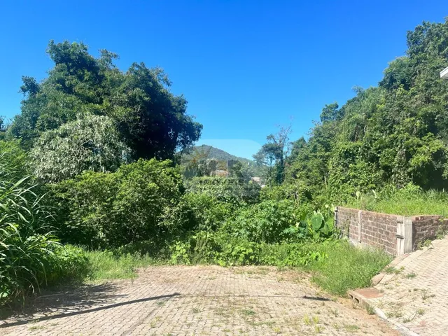 Imagem 4: CASA RESIDENCIAL em NOVA PETRÓPOLIS - RS, Pinhal Alto