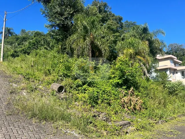 Imagem: TERRENO RESIDENCIAL em NOVA PETRÓPOLIS