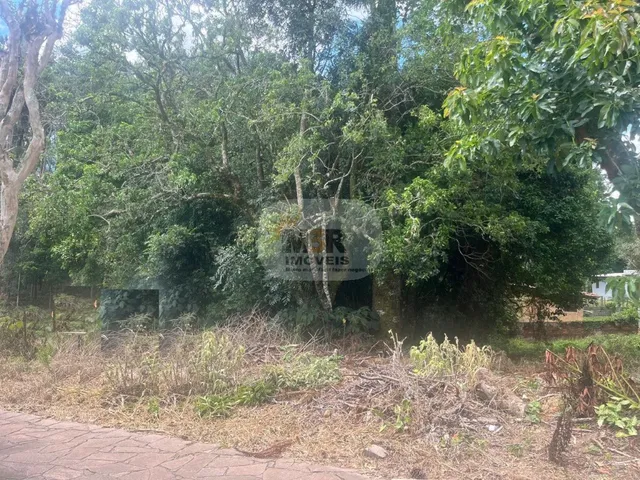 Imagem 3: TERRENO RESIDENCIAL em NOVA PETRÓPOLIS - RS, Logradouro