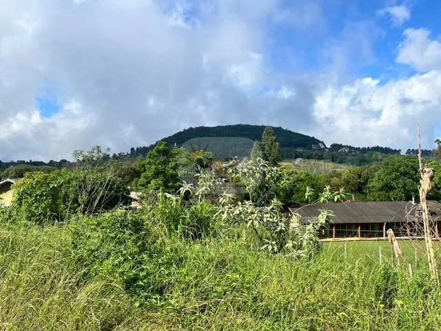 Imagem 3: TERRENO RESIDENCIAL em NOVA PETRÓPOLIS - RS, Piá