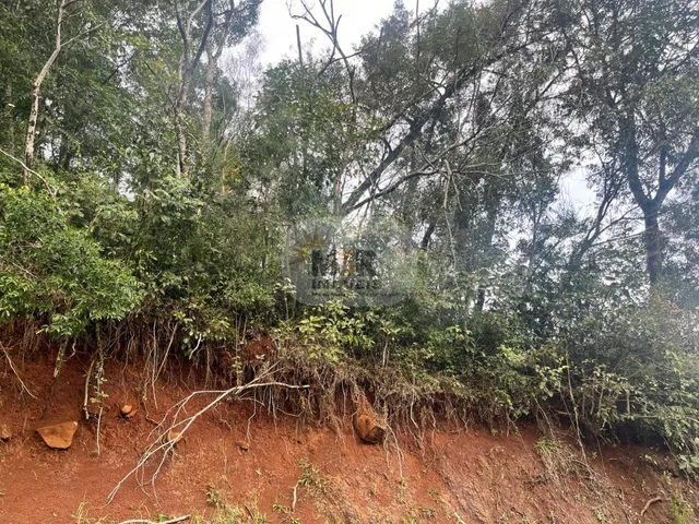 Imagem: TERRENO RESIDENCIAL em NOVA PETRÓPOLIS