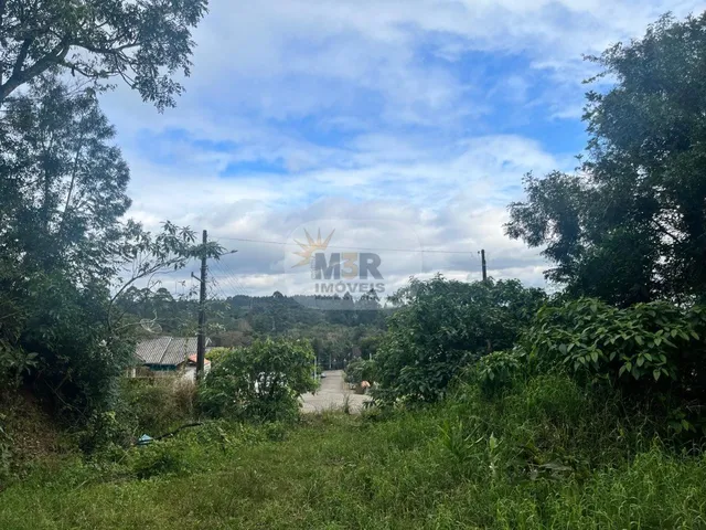 Imagem 4: TERRENO RESIDENCIAL em NOVA PETRÓPOLIS - RS, Vale Verde