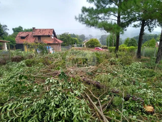 Imagem 4: Terreno 812m² à Venda em Linha Brasil Nova Petrópolis