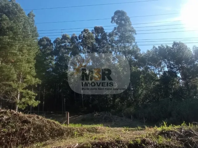 Imagem 2: TERRENO RESIDENCIAL em NOVA PETRÓPOLIS - RS, Linha Imperial