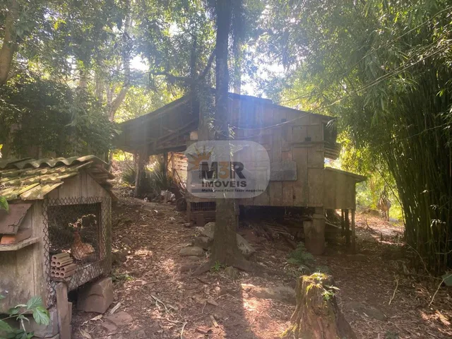 Imagem 14: SITIO RURAL em NOVA PETRÓPOLIS - RS, Linha Riachuelo
