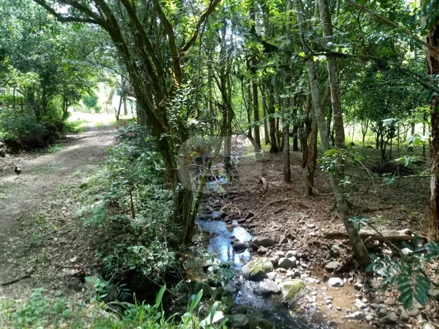 Imagem 5: AREA RURAL em NOVA PETRÓPOLIS - RS, Linha Temerária