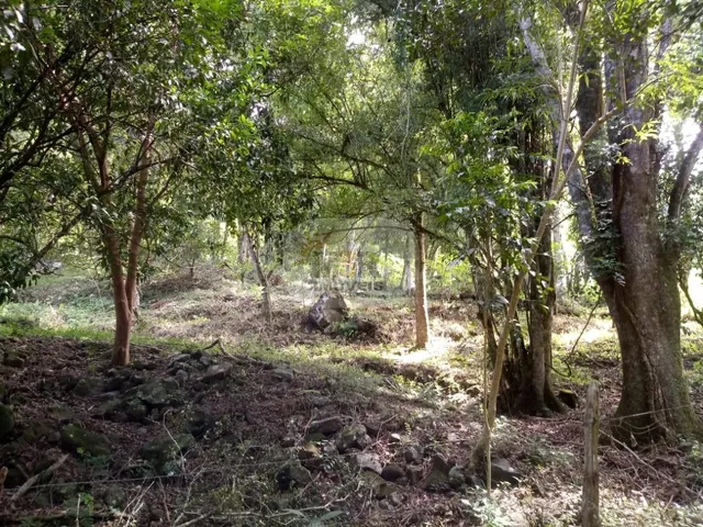 Imagem 8: AREA RURAL em NOVA PETRÓPOLIS - RS, Linha Temerária