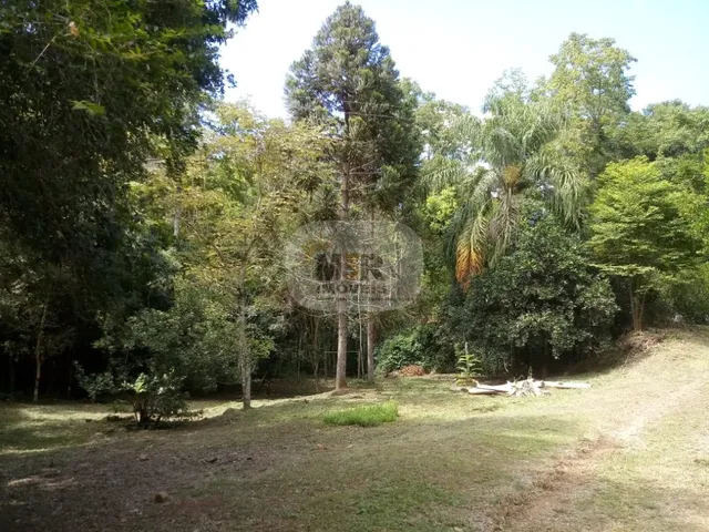 Imagem 11: AREA RURAL em NOVA PETRÓPOLIS - RS, Linha Temerária
