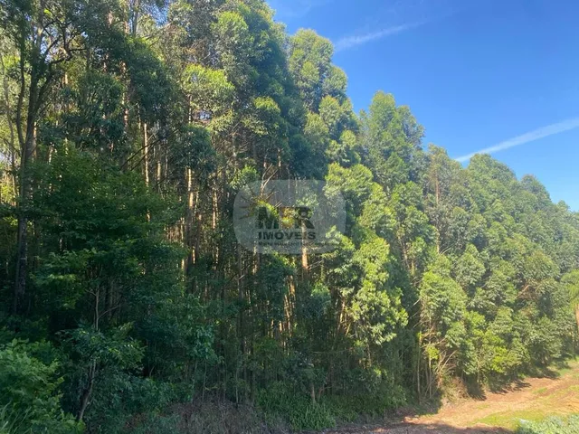 Imagem 2: AREA RURAL em NOVA PETRÓPOLIS - RS, Nove Colônias