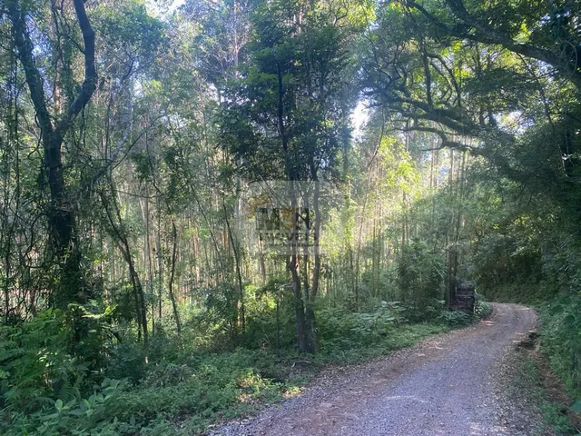Imagem 5: AREA RURAL em NOVA PETRÓPOLIS - RS, Nove Colônias