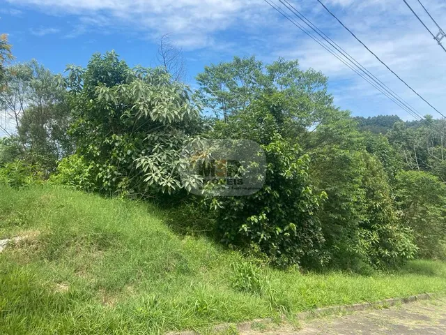 Imagem 2: TERRENO RESIDENCIAL em NOVA PETRÓPOLIS - RS, Recanto dos Plátanos