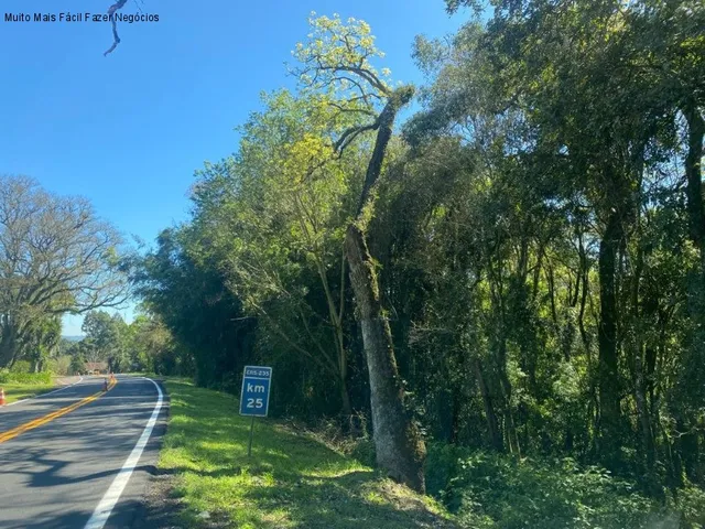 Imagem 2: AREA COMERCIAL em NOVA PETRÓPOLIS - RS, Linha Araripe