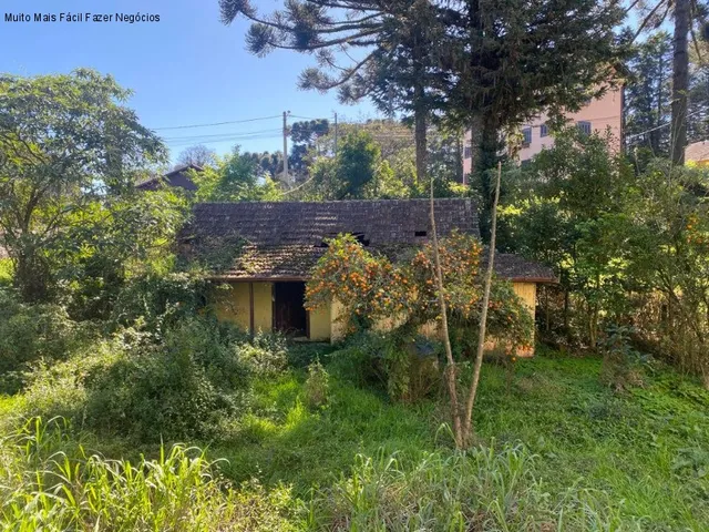 Imagem 1: TERRENO RESIDENCIAL em NOVA PETRÓPOLIS - RS, Juriti