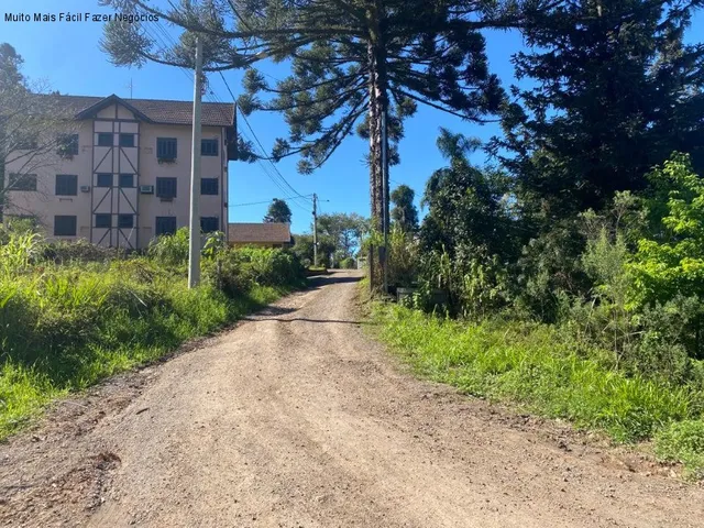 Imagem 4: TERRENO RESIDENCIAL em NOVA PETRÓPOLIS - RS, Juriti