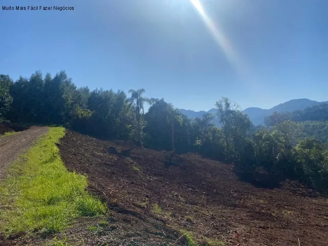 Imagem: AREA RURAL em NOVA PETRÓPOLIS - RS, Stille