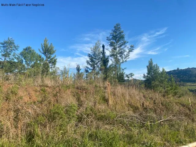 Imagem 1: TERRENO RESIDENCIAL em NOVA PETRÓPOLIS - RS, Linha Brasil
