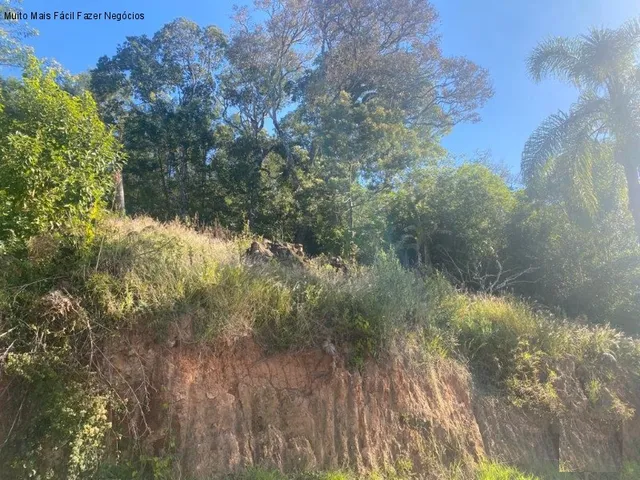 Imagem 2: TERRENO RESIDENCIAL em NOVA PETRÓPOLIS - RS, Bavária