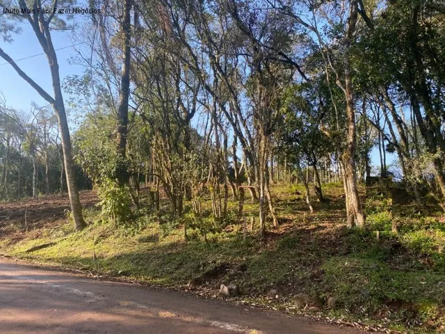 Imagem: Terreno Residencial em Nova Petrópolis