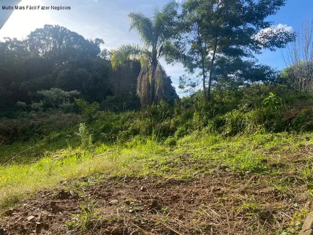 Imagem 2: TERRENO RESIDENCIAL em NOVA PETRÓPOLIS - RS, Vale Verde