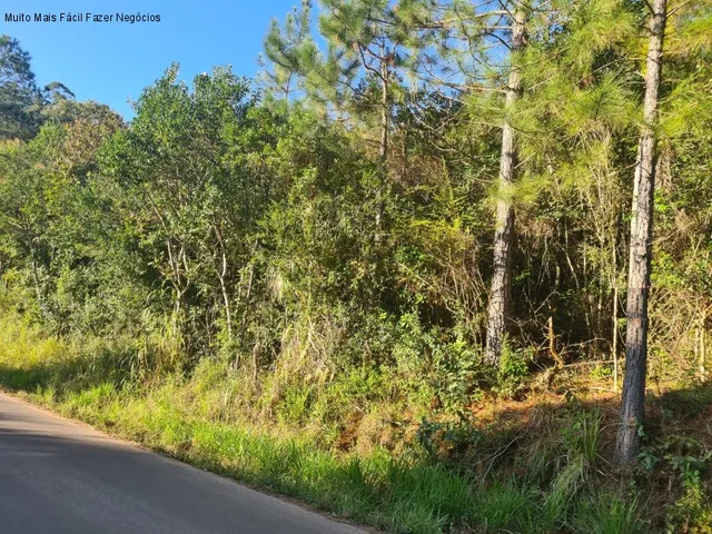 Imagem 2: AREA RURAL em NOVA PETRÓPOLIS - RS, Linha Temerária