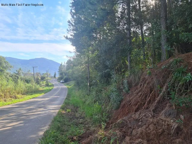 Imagem 8: AREA RURAL em NOVA PETRÓPOLIS - RS, Linha Temerária