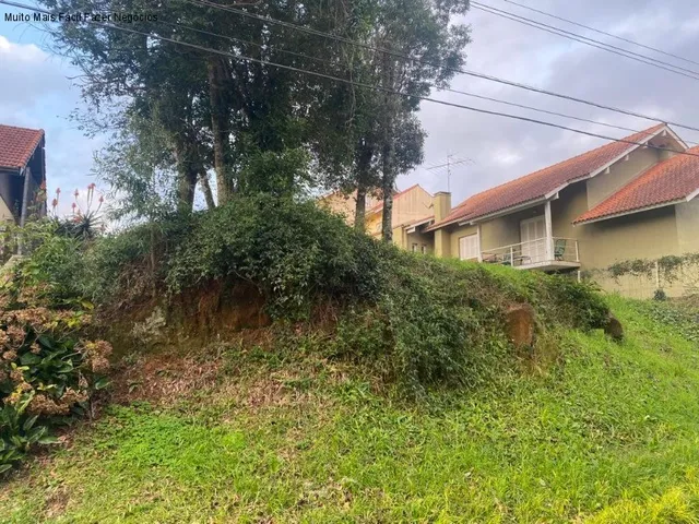 Imagem 1: TERRENO RESIDENCIAL em NOVA PETRÓPOLIS - RS, Logradouro