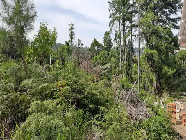 Imagem: TERRENO RESIDENCIAL em NOVA PETRÓPOLIS