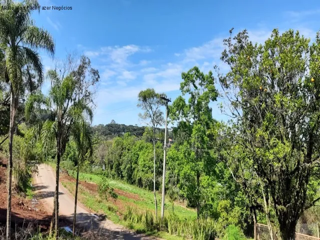 Imagem 2: Terreno à Venda no Bairro Piá | Nova Petrópolis