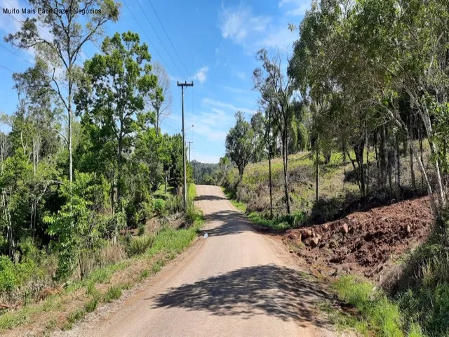 Imagem 5: Terreno à Venda no Bairro Piá | Nova Petrópolis