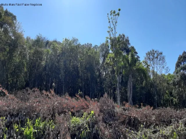 Imagem 3: Terreno à Venda no Bairro Piá | Nova Petrópolis