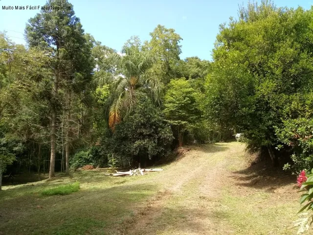Imagem 13: SITIO RURAL em Nova Petrópolis - RS, Linha Temerária
