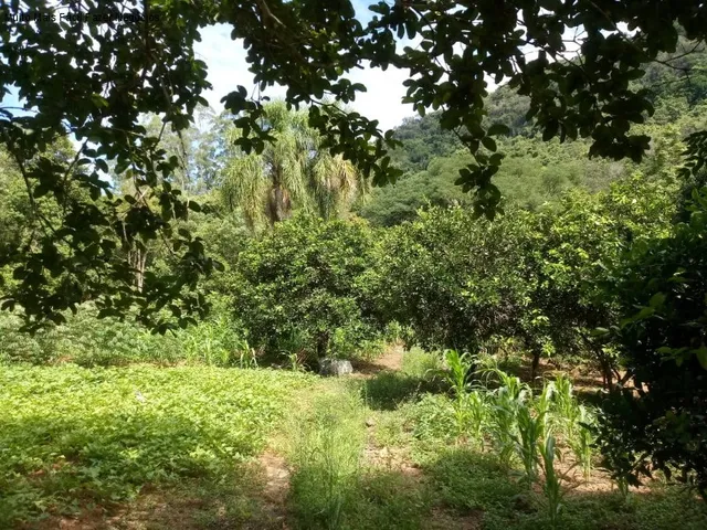 Imagem 16: SITIO RURAL em Nova Petrópolis - RS, Linha Temerária