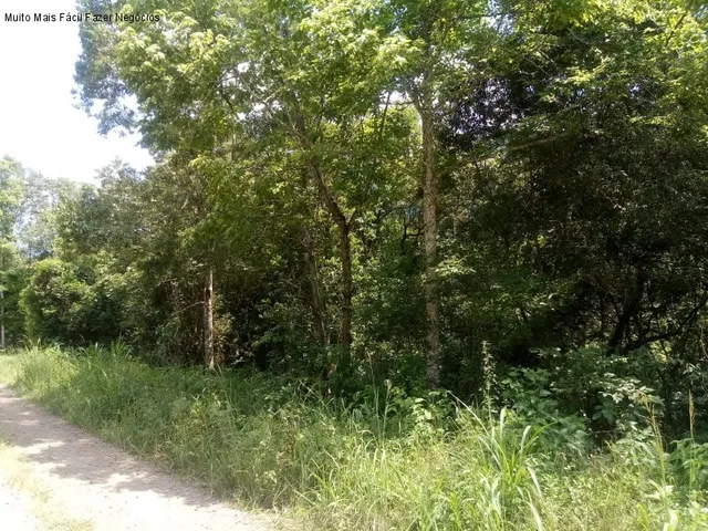 Imagem: AREA RURAL em Nova Petrópolis - RS, Linha