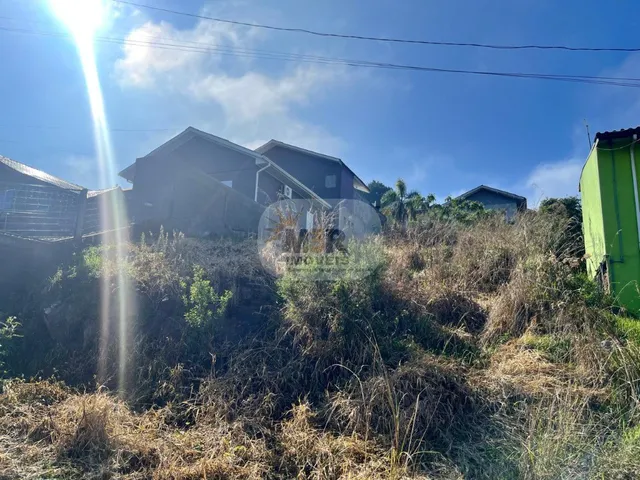 Imagem 3: TERRENO RESIDENCIAL em NOVA PETRÓPOLIS - RS, Piá