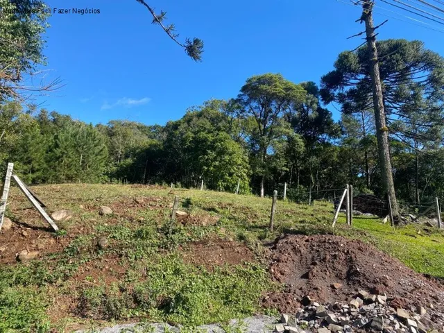 Imagem 1: TERRENO RESIDENCIAL em NOVA PETRÓPOLIS - RS, Germânia