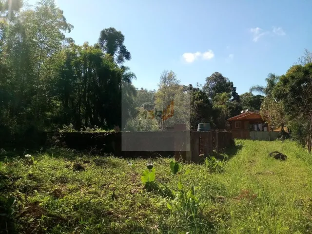 Imagem 2: Terreno à Venda Nova Petrópolis | 600m² Vale Verde